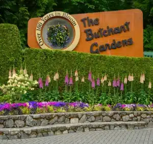 A large sign reading “The Butchart Gardens” and “Over 100 Years in Bloom” stands behind a manicured hedge, colorful flowers, and a stone border.