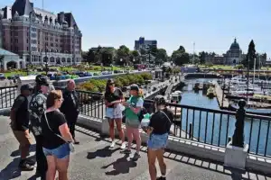 A group of people stands on a waterfront path overlooking a marina, with historic buildings and parked cars visible in the background on a sunny day.