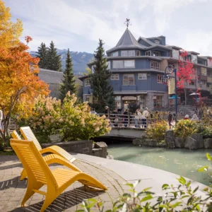 Two yellow chairs face a small pond with a bridge and a blue multi-story building in the background; people walk along the bridge amid autumn trees.