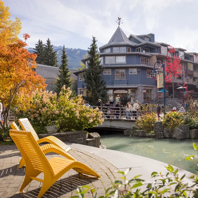 Two yellow chairs face a small pond with a bridge and a blue multi-story building in the background; people walk along the bridge amid autumn trees.