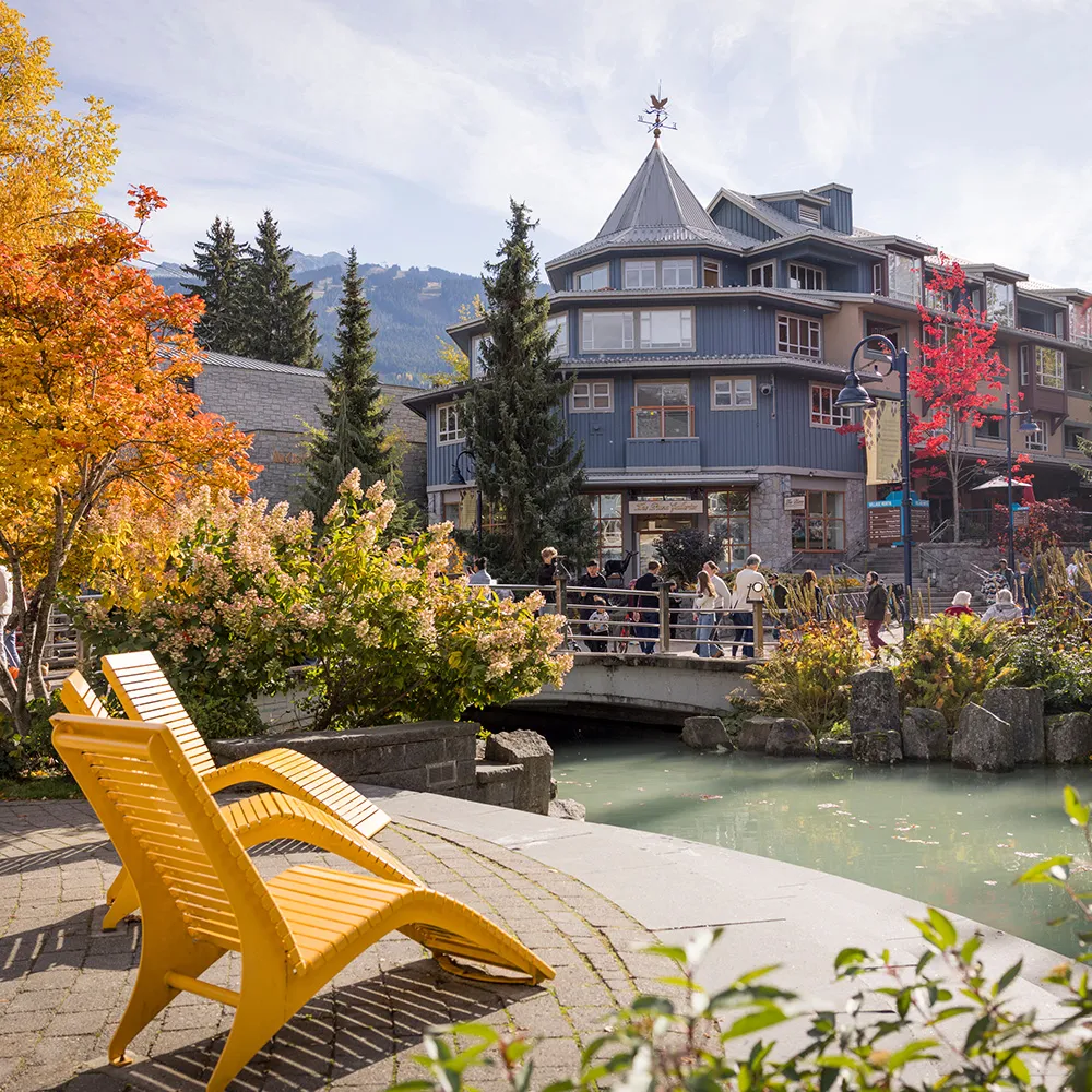 Two yellow chairs face a small pond with a bridge and a blue multi-story building in the background; people walk along the bridge amid autumn trees.